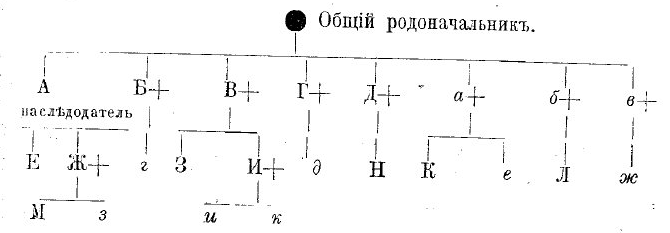 ● Общій родоначальникъ. Родословная схема