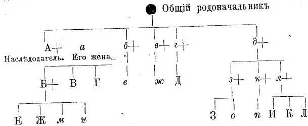 Родословная схема