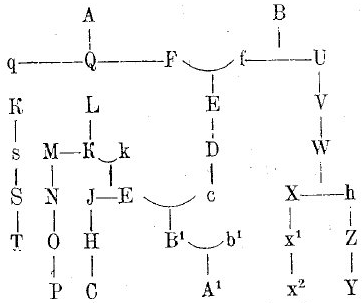 Родословная схема